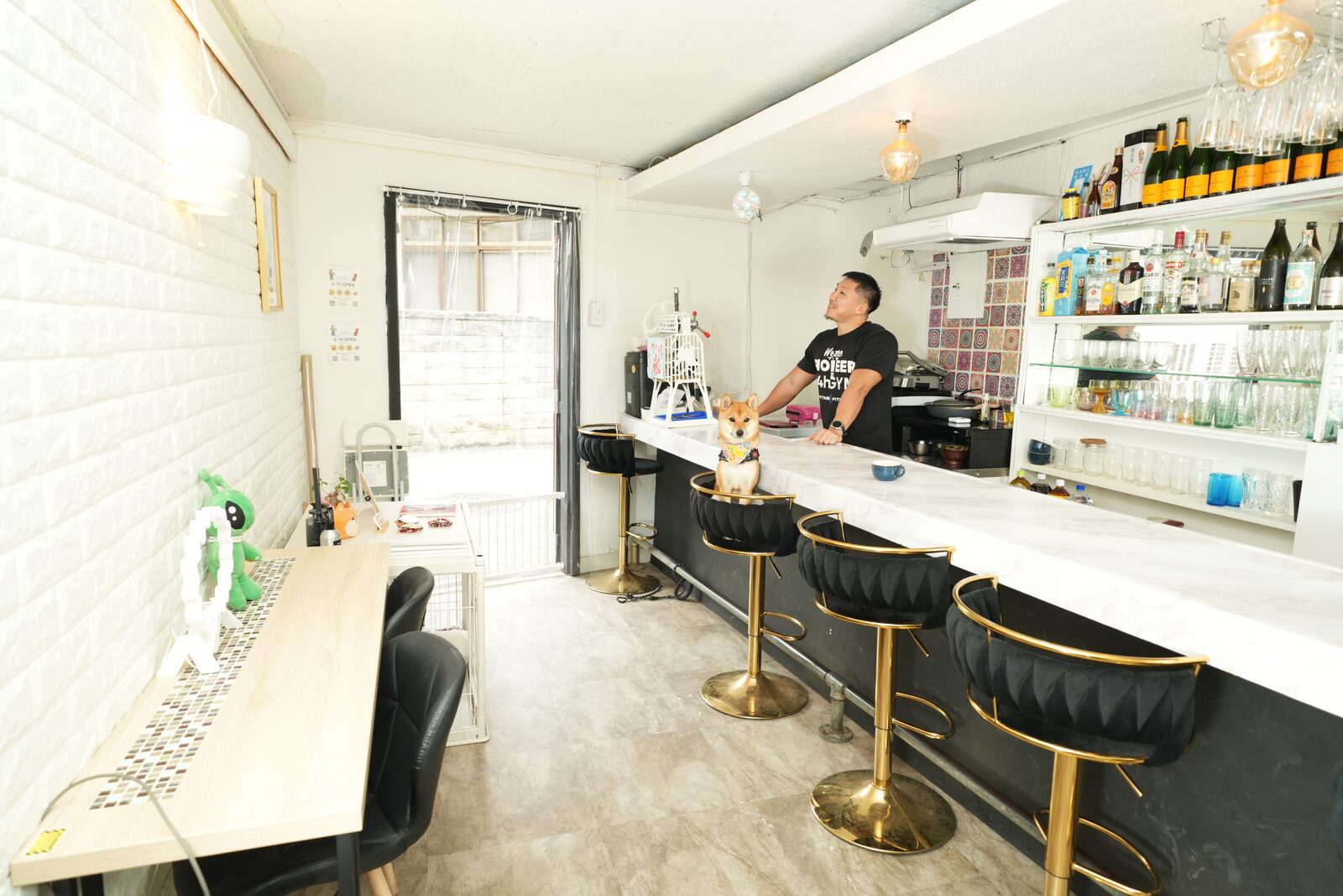わんちょカフェの店内